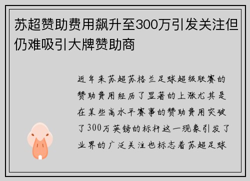 苏超赞助费用飙升至300万引发关注但仍难吸引大牌赞助商